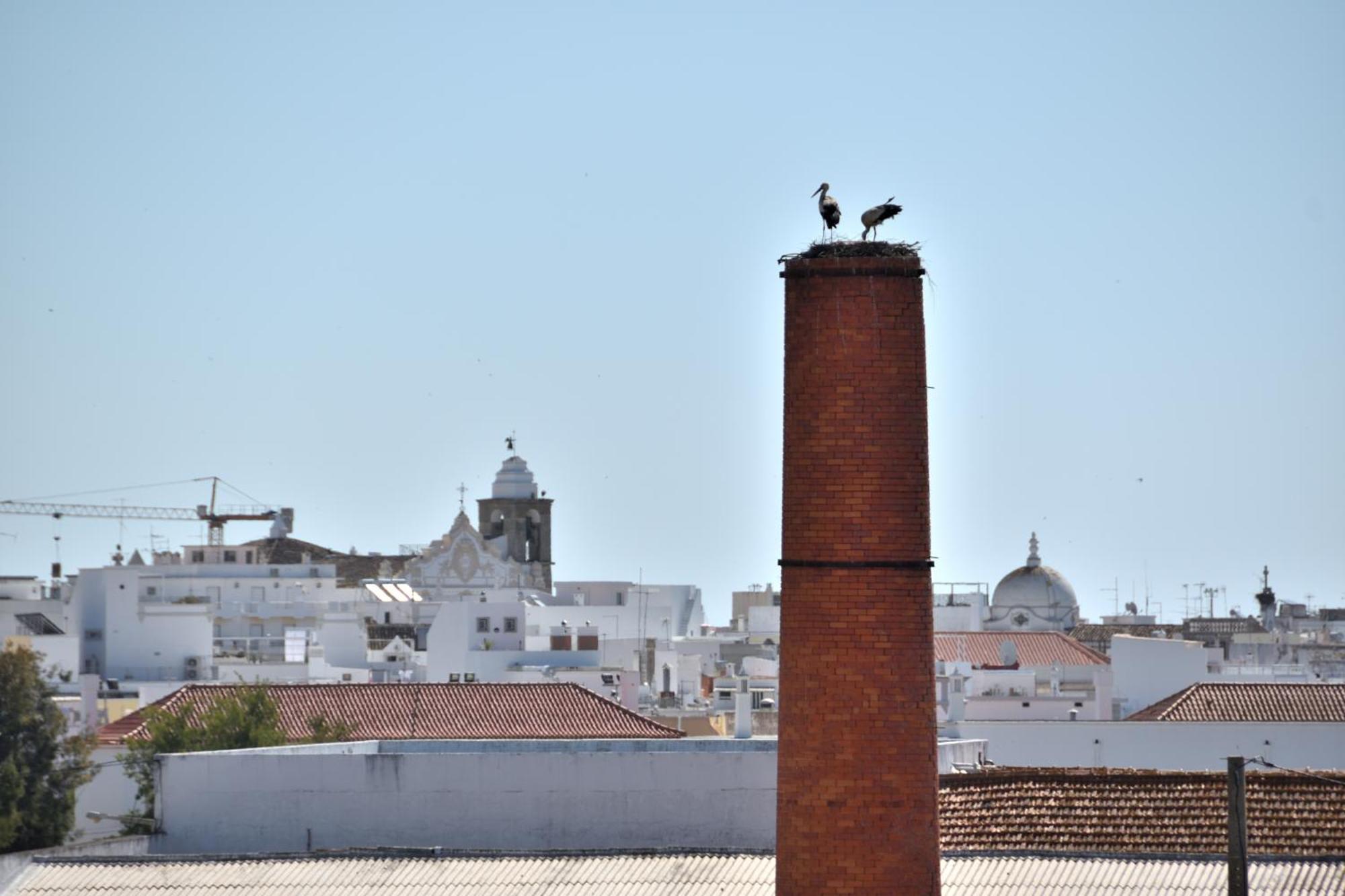 Stork Apartment Olhao Bagian luar foto